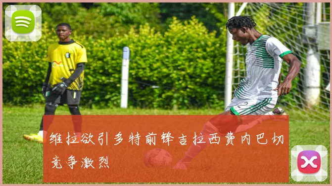 维拉欲引多特前锋吉拉西费内巴切竞争激烈